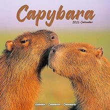 Capybaras 2026 Wall Calendar