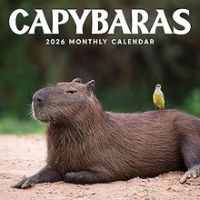 Capybaras 2026 Wall Calendar