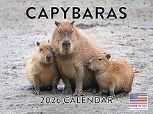 Capybaras 2026 Wall Calendar