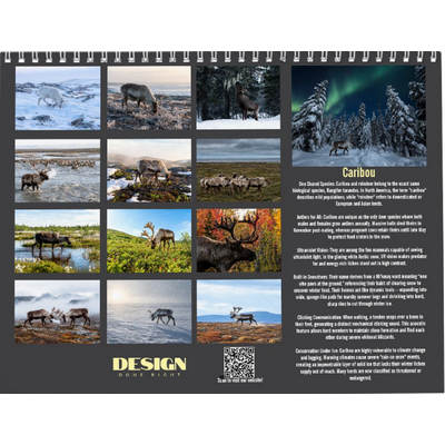 Caribou 2027 Wall Calendar