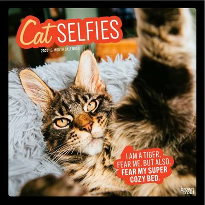 Cat Selfies 2027 Wall Calendar