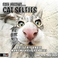 Cat Selfies 2026 Wall Calendar