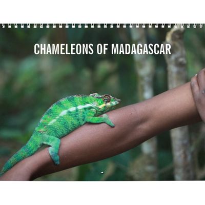 Chameleons of Madagascar Calendar