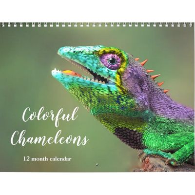 Colorful Chameleons 2027 Calendar