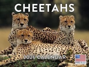 Cheetahs Calendars
