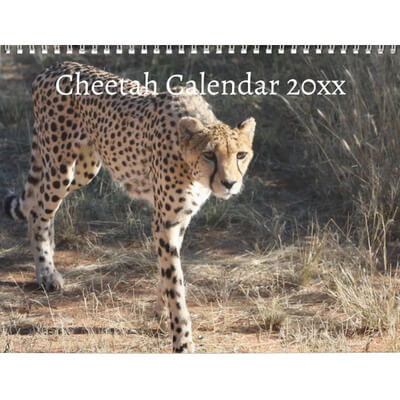 Cheetahs 2027 Calendar