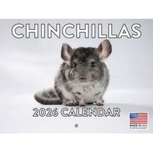 Chinchillas 2026 Calendar
