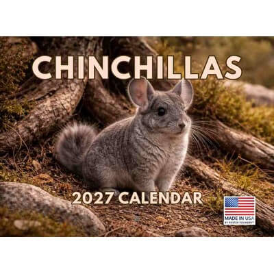 Chinchillas 2027 Wall Calendar