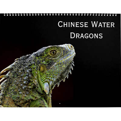 Chinese Water Dragons 2027 Wall Calendar