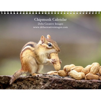 Chipmunks 2027 Calendar