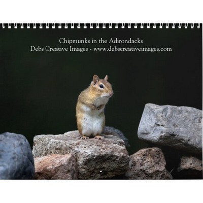 2027 Adirondack Chipmunks | Woodland Wildlife Calendar