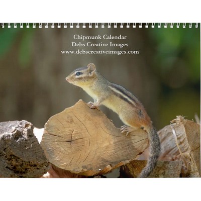 2027 Adirondack Chipmunk | Woodland Photography Calendar