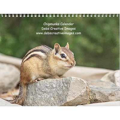 2027 Adirondack Chipmunks | Wildlife Photography Calendar