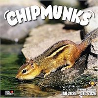 Chipmunks 2026 Wall Calendar