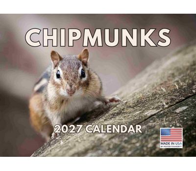 Chipmunks 2027 Calendar