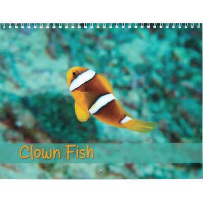 Clown Fish 2027 Wall Calendar