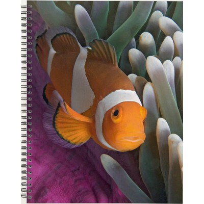 Clown Fish 2027 Planner