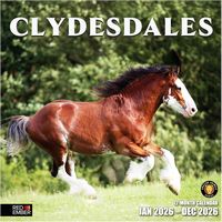 Clydesdales 2026 Calendar