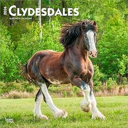 Clydesdales 2026 Calendar