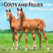 Colts & Fillies Calendars
