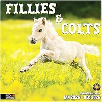 Colts And Fillies 2026 Calendar