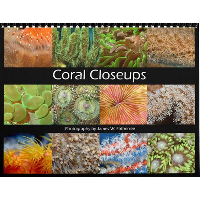 Coral Closeups 2027 Wall Calendar