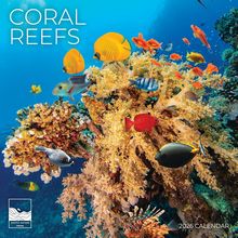 Coral 2026 Calendar
