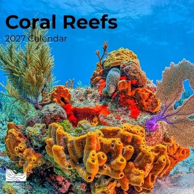 Coral Reefs 2027 Wall Calendar