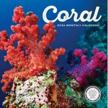 Coral 2026 Calendar