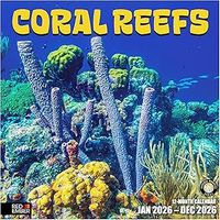Coral Reefs 2026 Wall Calendar