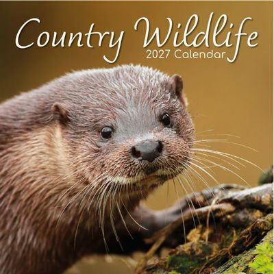 Wildlife Calendars 2027 Calendar