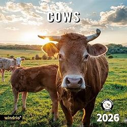 Cows 2026 Calendar