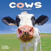 Cows 2026 Calendar