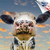 Cows 2026 Calendar