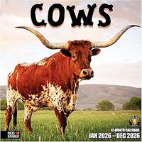Cows 2026 Calendar
