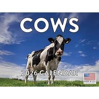 Cows 2026 Calendar