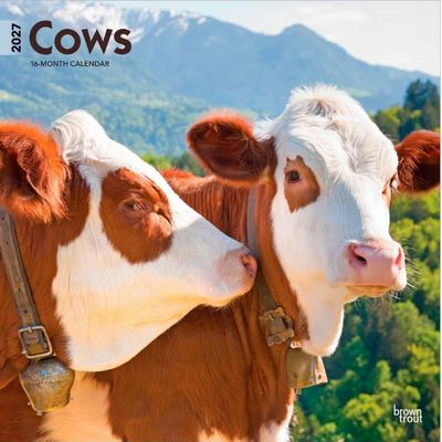 Cows 2027 Wall Calendar
