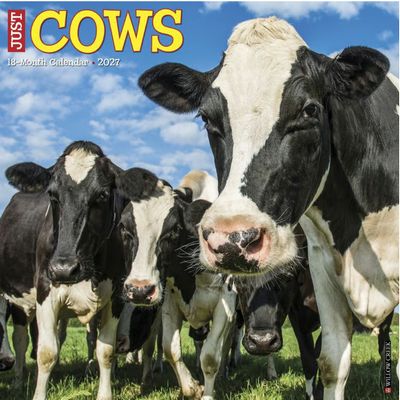 Just Cows 2027 Wall Calendar