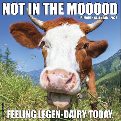 Not In The Mooood 2027 Wall Calendar