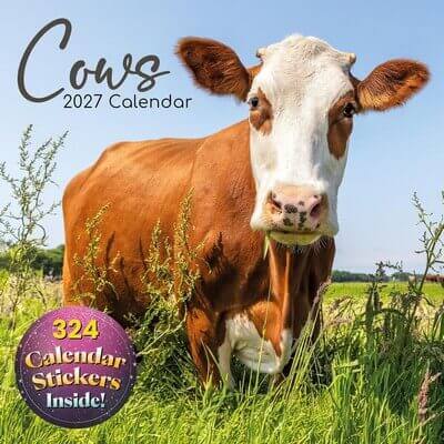 Cows 2027 Wall Calendar