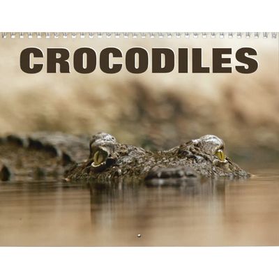 Crocodiles 2027 Wall Calendar