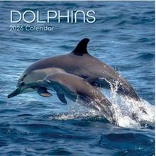 Dolphins 2026 Wall Calendar