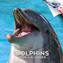 Dolphins 2026 Wall Calendar