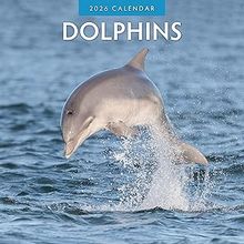 Dolphins 2026 Wall Calendar