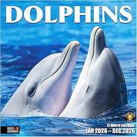 Sea Animals 2026 Calendar