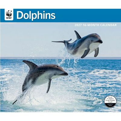 Dolphins 2027 Wall Calendar