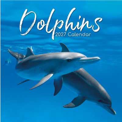Dolphins 2027 Wall Calendar