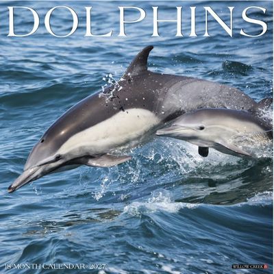 Dolphins 2027 Wall Calendar