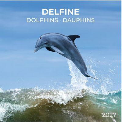 Dolphins 2027 Wall Calendar