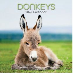Donkeys 2026 Calendar